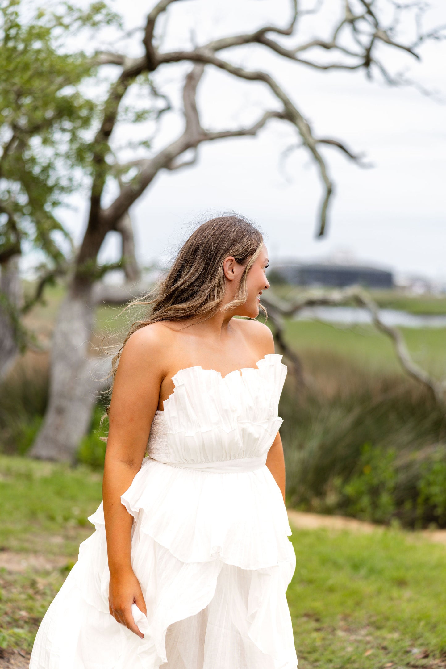 The Iris Dress