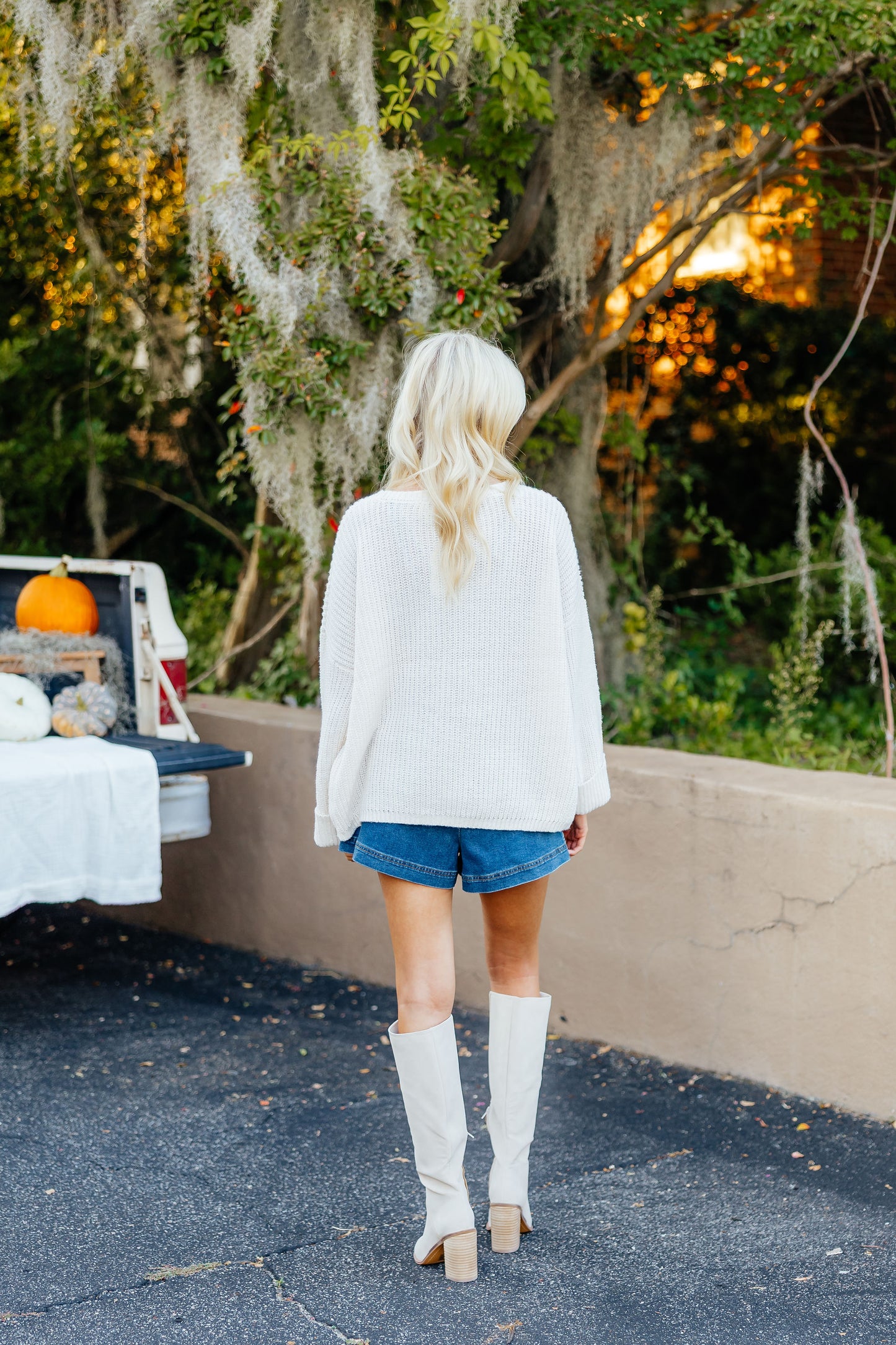 Briar Dress