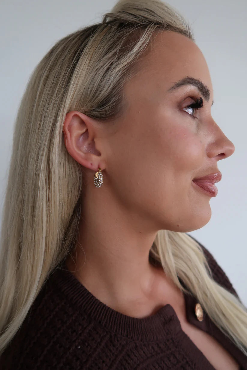 Dainty Diamond Hoops